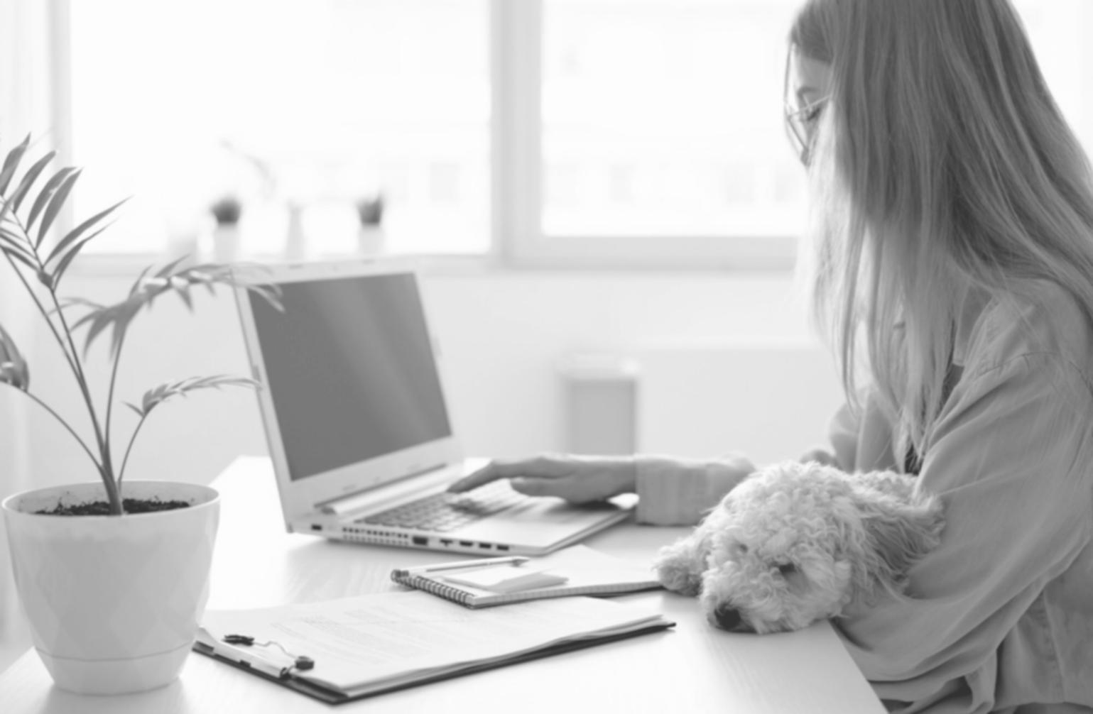 Student learning budget tracking techniques on laptop with financial documents